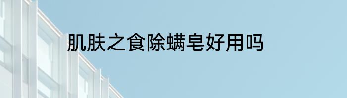 肌肤之食除螨皂好用吗