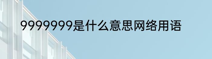 9999999是什么意思网络用语