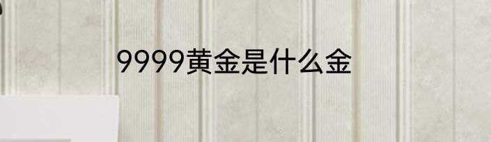 9999黄金是什么金