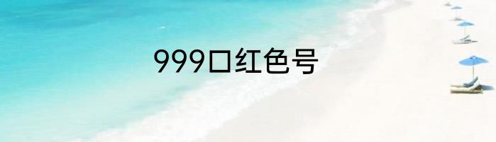 999口红色号