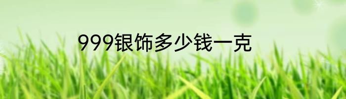 999银饰多少钱一克