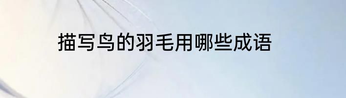 描写鸟的羽毛用哪些成语