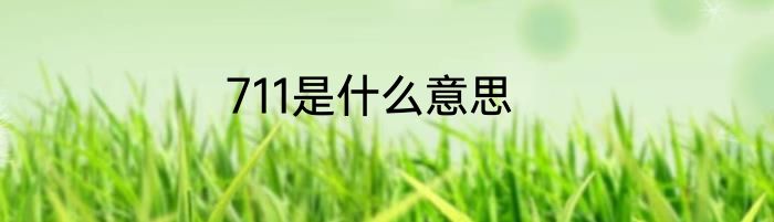 711是什么意思