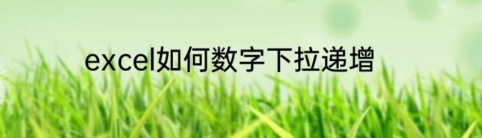 excel如何数字下拉递增