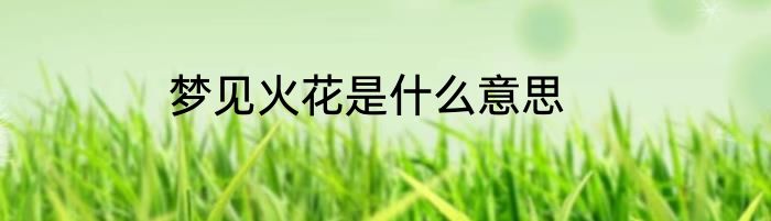 梦见火花是什么意思