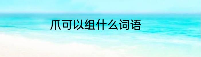 爪可以组什么词语