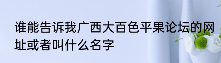 谁能告诉我广西大百色平果论坛的网址或者叫什么名字