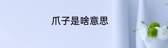 爪子是啥意思