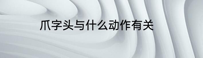 爪字头与什么动作有关