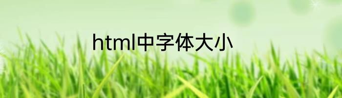 html中字体大小
