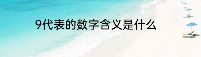9代表的数字含义是什么