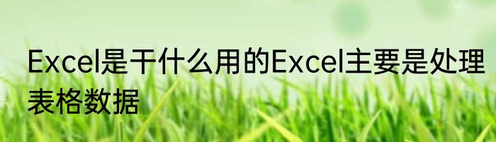 Excel是干什么用的Excel主要是处理表格数据