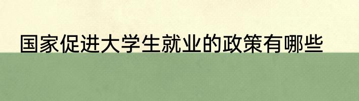 国家促进大学生就业的政策有哪些