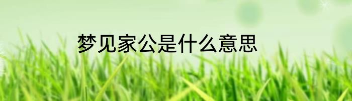 梦见家公是什么意思