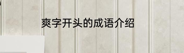 爽字开头的成语介绍