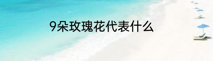 9朵玫瑰花代表什么