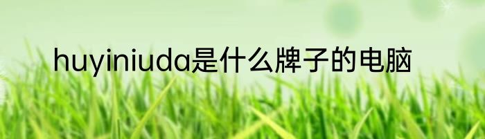 huyiniuda是什么牌子的电脑