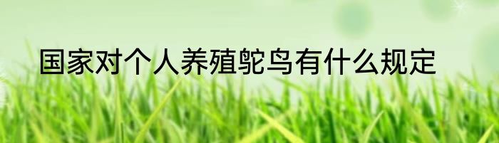 国家对个人养殖鸵鸟有什么规定