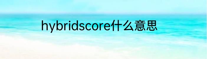 hybridscore什么意思