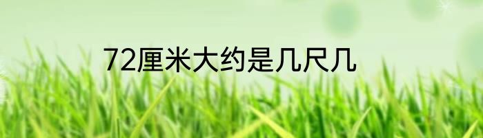72厘米大约是几尺几
