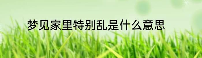 梦见家里特别乱是什么意思