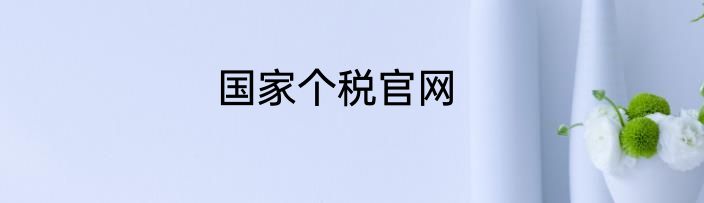 国家个税官网