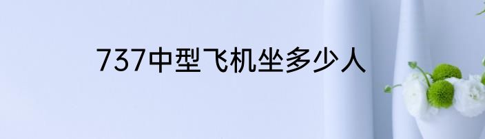 737中型飞机坐多少人