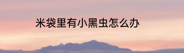米袋里有小黑虫怎么办