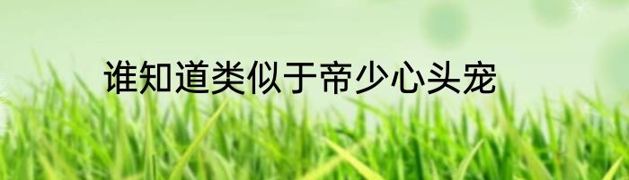 谁知道类似于帝少心头宠