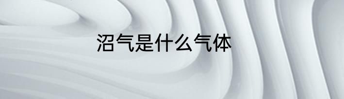 沼气是什么气体