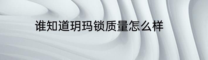谁知道玥玛锁质量怎么样