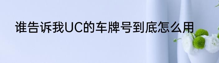谁告诉我UC的车牌号到底怎么用