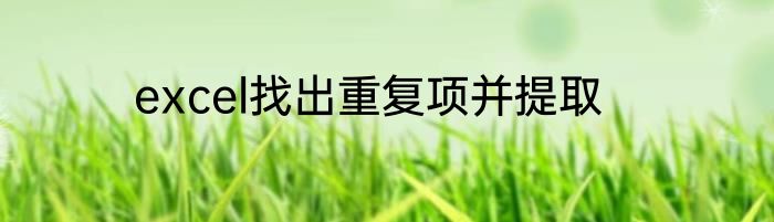 excel找出重复项并提取