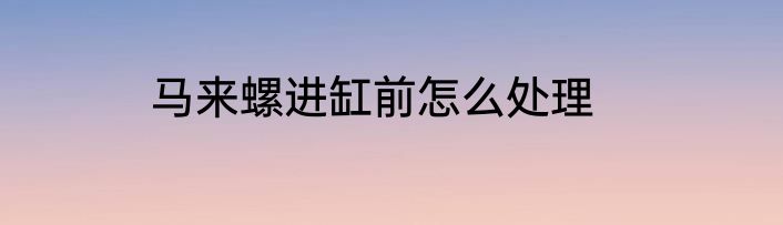 马来螺进缸前怎么处理
