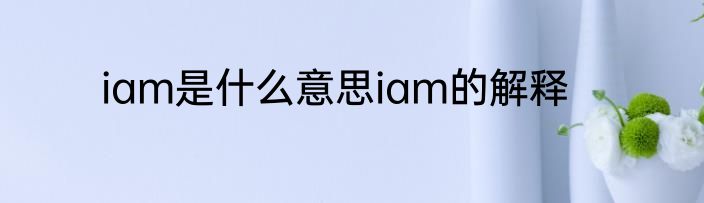 iam是什么意思iam的解释