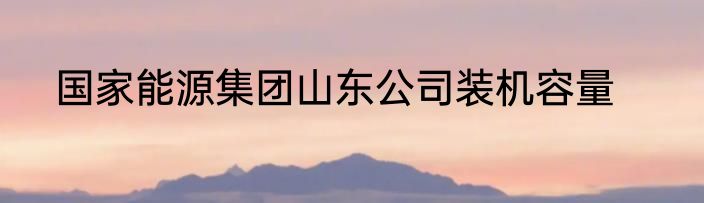 国家能源集团山东公司装机容量
