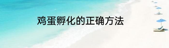 鸡蛋孵化的正确方法