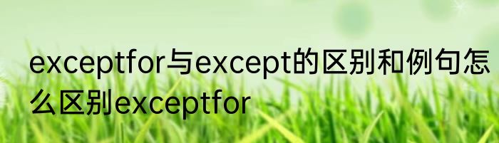 exceptfor与except的区别和例句怎么区别exceptfor