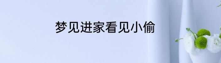 梦见进家看见小偷