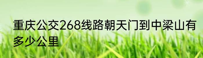 重庆公交268线路朝天门到中梁山有多少公里
