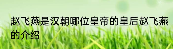 赵飞燕是汉朝哪位皇帝的皇后赵飞燕的介绍
