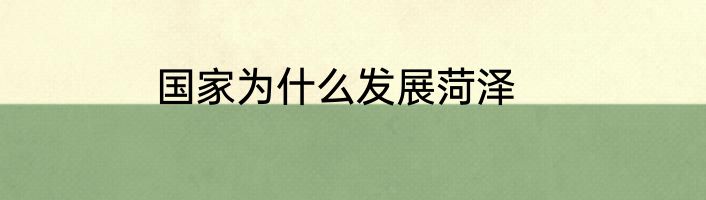 国家为什么发展菏泽