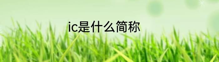 ic是什么简称