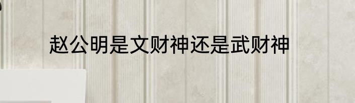 赵公明是文财神还是武财神
