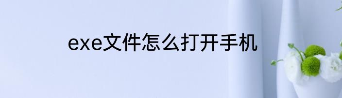 exe文件怎么打开手机