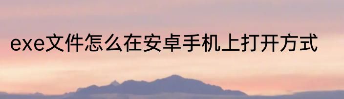 exe文件怎么在安卓手机上打开方式