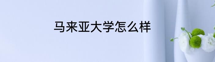 马来亚大学怎么样