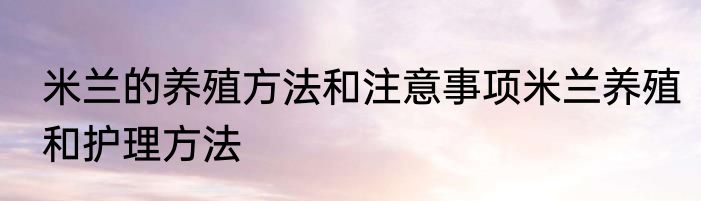 米兰的养殖方法和注意事项米兰养殖和护理方法