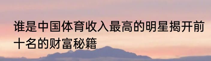 谁是中国体育收入最高的明星揭开前十名的财富秘籍
