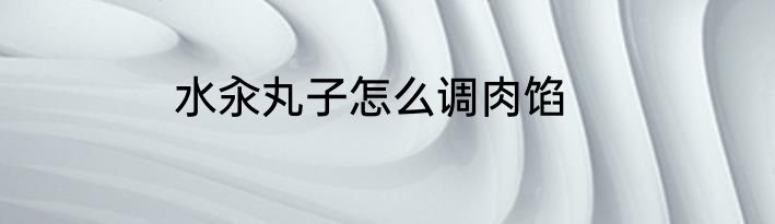 水汆丸子怎么调肉馅